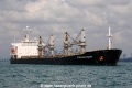 Star Sea Cosmos OS-160313-06.jpg