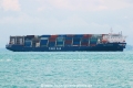 Tiger Longkou (MS-140424-06).jpg