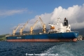 Star Maia RV-030424-02.jpg