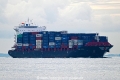 Tiger Ocean OS-071022-01.jpg