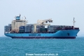 Tove Maersk (MS-300316-06).jpg