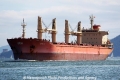 STX Ivy RV-060413-01.jpg