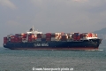 YM Green OS-311008-05.jpg