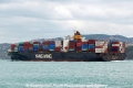 YM Cypress (OK-031013-3).jpg
