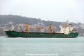 Sundaisy E (OK-280114-0).jpg