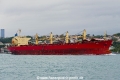 Swan (OK-280918-0).jpg
