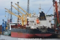 Sydney Eagle (KB-D010320-02).jpg