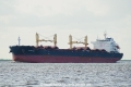 Sydney Eagle (KK-280220-1).jpg