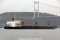 Taha-Y (OK-250114-1).jpg