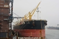 Tai Star (KB-D280219-03).jpg