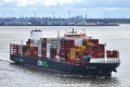 Zim Amber 160324-01.jpg