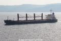 Tamarack RA-161016-01.jpg