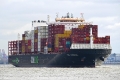 Zim Amber 160324-12.jpg