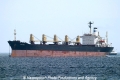 Tenora (MS-220706-1).jpg
