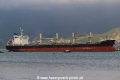 Thalis RV-271120-01.jpg