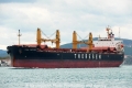 Thor Fortune (OK-051013-1).jpg