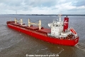 Tern Bulker KH-221124-8.jpg