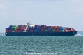 Zoi OS-251024-1.jpg