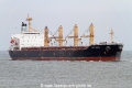 Top Wing (MM-210810-3).jpg