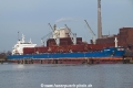 Tiger Hebei OS-010322-01.jpg