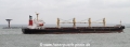 Top Wing (MM-210810-5).jpg