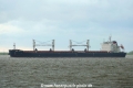 Tomini Felicity (KK-040521-1).jpg
