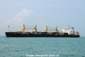 Tokyo Spirit OS-161014-03.jpg