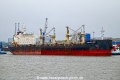 Tomini Alize OS-191224-52.jpg