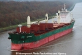 Torrent JB-161111-01.jpg