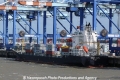 Warnow Vaquita (MB-120512-2).jpg
