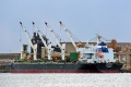 Toxotis RV-290812.jpg