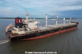Tomini Levant KH-230423-7.jpg
