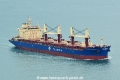 Trammo Independent HK-140117-1.jpg