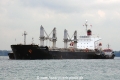 Triton Stork OS-191013-09.jpg