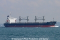 Triton Swift (TJ-251008).jpg
