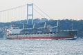 Tritonia (OK-161013-0).jpg
