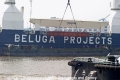 Beluga-Projektverl-HKG MS-A300707-6.jpg