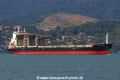 Aracari Arrow RV-040822-05.jpg