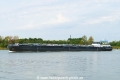 Aquarheni (OK-050922-0).jpg