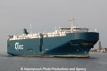 Asian Breeze (US-010813-2).jpg