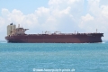 C Majesty (MS-150419-09).jpg