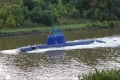 Tanin JB-280814-12.jpg