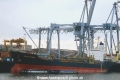 Arabian Express K281196.jpg