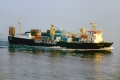 Canis K-1985.jpg