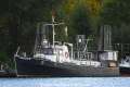 Kranich 250918.jpg