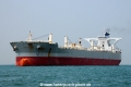 C Whale OS-140313-22.jpg
