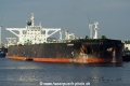 Arion SH-110715-01.jpg