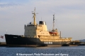 Isbjoern (US-290812-0).jpg