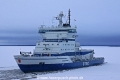 Otso (LW-EF-280208-2).jpg