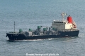 Sazanka HK-091223-1.jpg